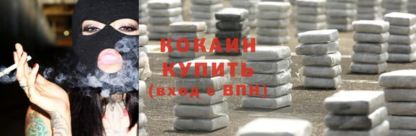 стафф Новозыбков