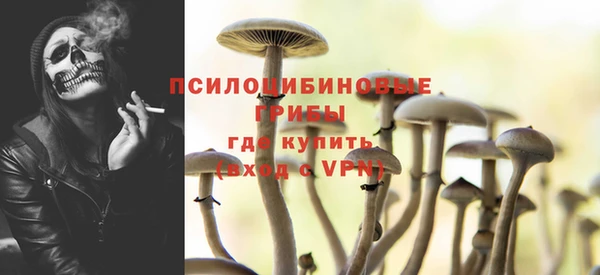 соль курить ск Новодвинск