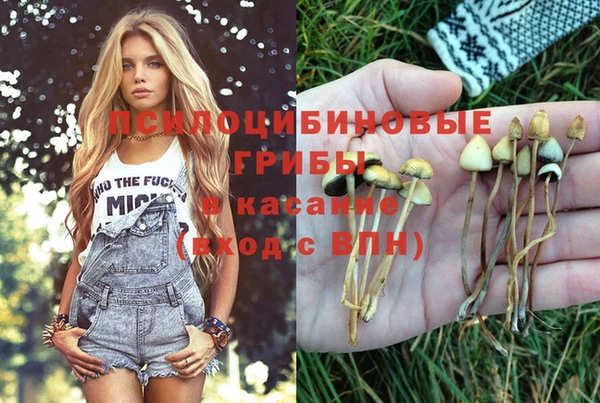 ешки Новокубанск