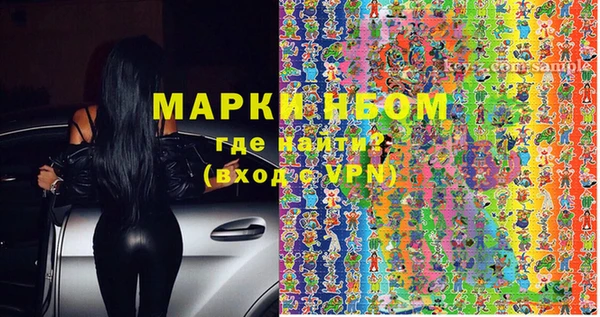 стафф Новозыбков