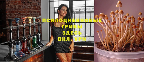 ешки Новокубанск