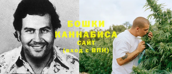 соль курить ск Новодвинск