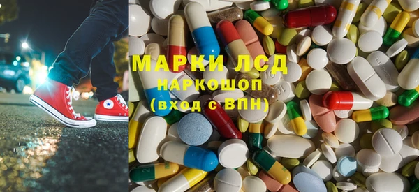 стафф Новозыбков