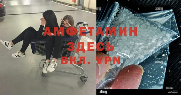 стафф Новозыбков