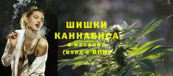 стафф Новозыбков
