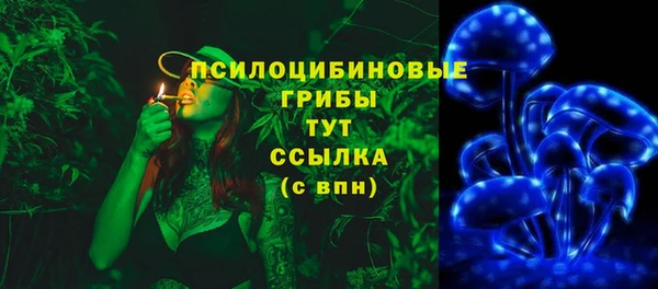 стафф Новозыбков