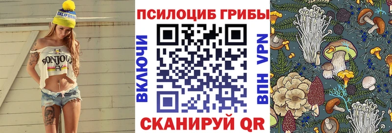 Псилоцибиновые грибы Psilocybe Холмск